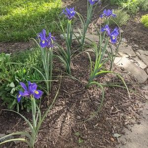 Meet your Posher, Marla